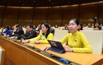 Nhiều sai phạm gây lãng phí, thất thoát kéo dài, không thể giải quyết ngay trong năm 2023