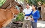 Tây Ninh: Giúp 475 hộ phụ nữ thoát nghèo theo tiêu chí nghèo đa chiều