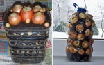 Cách trồng 3 loại cây gia vị không thể thiếu trong bữa cơm gia đình Việt