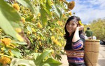 Nỗ lực để nghề dệt thổ cẩm song hành cùng đồng bào Tây Nguyên