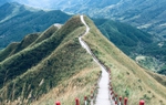 "Cưỡi sống lưng khủng long" ngắm mùa vàng Bình Liêu
