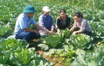 Khởi sắc nông nghiệp ở vùng cao