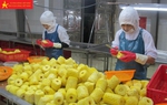 Kết nối nguồn lực, tăng hiện diện của hàng Việt vào thị trường châu Âu
