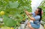 Xây dựng nông thôn mới từ sản phẩm OCOP