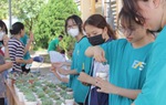 Điện Biên: Nhóm học sinh THPT thu hơn 4 tấn giấy từ chương trình "Đổi giấy lấy cây"