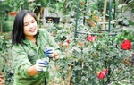 Hướng đi mới phát triển dịch vụ, hàng hoá gắn với du lịch vùng miền núi