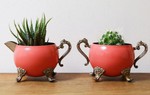Gợi ý 3 cách trồng cây, trồng hoa cực đẹp trong bộ ấm chén cũ