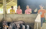 Giảm nghèo từ nguồn vốn vay của Ngân hàng Chính sách xã hội