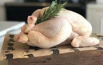 Vi khuẩn Salmonella thường có trong thực phẩm nào và nguy hại ra sao?