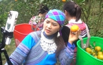 Tận dụng hiệu quả lợi thế sàn thương mại điện tử để tiêu thụ hàng hoá miền núi