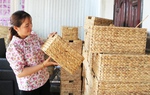 Mô hình đan lục bình, nuôi rắn giúp phụ nữ thoát nghèo bền vững 