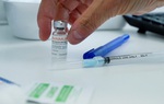 Vaccine MVA-BN phòng bệnh đậu mùa khỉ đạt hiệu quả 78%
