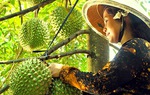 Tiền Giang: Nhiều hoạt động hỗ trợ hội viên, phụ nữ thoát nghèo bền vững