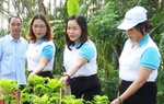 Hội LHPN Quảng Nam ra mắt mô hình “Chi hội phụ nữ 3 sạch”