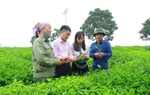 Phụ nữ Mộc Châu chung tay xây dựng nông thôn mới