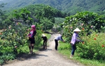 Ba Chẽ: Hỗ trợ phụ nữ phát triển kinh tế