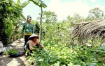 Sóc Trăng: Hội viên, phụ nữ mạnh dạn vươn lên thoát nghèo