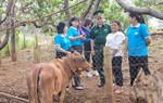 Gia Lai: Nhiều hoạt động thiết thực "Đồng hành cùng phụ nữ biên cương"