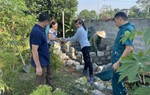 Mặt trận Tổ quốc Việt Nam phát huy nội lực, góp phần xây dựng nông thôn mới