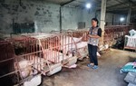 Thái Bình: Đa dạng mô hình hỗ trợ giúp phụ nữ vươn lên làm giàu