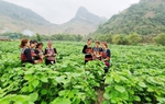 Thực hiện bình đẳng giới xóa tan định kiến, bạo lực gia đình, khoảng cách giàu nghèo