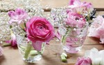 Tận dụng vật dụng nhà bếp để cắm hoa siêu ấn tượng