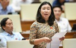 Đại biểu Quốc hội chất vấn về thông tin xấu độc trên mạng, tội phạm công nghệ cao