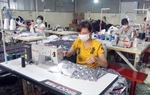 Hướng đi cho phụ nữ vùng Công giáo phát triển kinh tế thoát nghèo