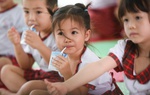5 sản phẩm TH được vinh danh Thương hiệu quốc gia
