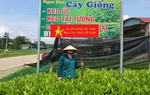 Nguồn vốn nhỏ giúp phụ nữ đẩy mạnh sản xuất hàng hoá