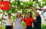 Nguồn vốn vay nhỏ hỗ trợ phụ nữ phát triển mô hình nho đen chất lượng cao