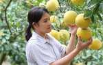 Tiếp sức cho người nghèo Thủ đô tự lực vươn lên