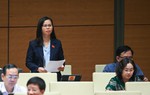 Đại biểu Quốc hội đề xuất 4 giải pháp giảm tội phạm giết người liên quan đến gia đình