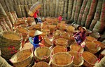 Kiên Giang: Đời sống phụ nữ dân tộc được nâng cao nhờ mô hình sinh kế hiệu quả