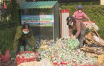 Hà Tĩnh nhiều mô hình sinh kế giúp phụ nữ thoát nghèo