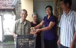 Thái Bình: Tiêu chí “gia đình không nghèo” giúp nhiều phụ nữ vươn lên phát triển kinh tế