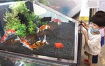 Giáo sư Đại học Sư phạm Bắc Kinh: Dạy con giống như nuôi cá
