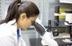Tìm thấy hoạt chất chống ung thư từ thực vật