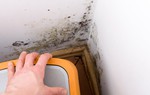 Nấm mốc trong nhà có thể gây ra những vấn đề sức khỏe nghiêm trọng như thế nào?