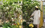 Mãn nhãn trước khu vườn 4 mùa hoa nở, cây cối tươi tốt quanh năm của cô gái 9x