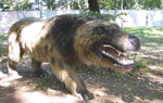 Andrewsarchus: Một trong những loài thú ăn thịt đáng sợ nhất từng tồn tại 