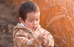 Nếu trẻ làm được 3 việc này chứng tỏ cha mẹ có phương pháp nuôi dạy xuất sắc 