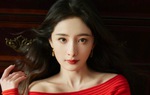 Dương Mịch quỵt nợ gần 340 tỷ đồng do bị lừa?