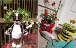 10 cách sáng tạo các đồ vật trong khu vườn rất dễ thương