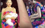 Catwalk với mèo, chị em Hoa hậu bị cào đỏ tay, Đỗ Thị Hà hốt hoảng trên sàn catwalk