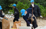 Thanh niên hành động vì Đại dương Xanh