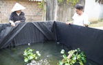 Bước đột phá của người Mường ở Mỹ Lương từ mô hình nuôi cá độc đáo
