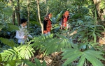 Nữ Trưởng bản kiêm Bí thư Chi bộ gương mẫu trong làm kinh tế, phát triển đảng viên