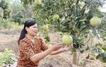 Tạo sự chuyển biến tích cực trong nhận thức và hành động giúp phụ nữ phát triển kinh tế