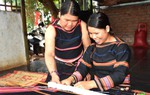 Gia Lai: Đẩy mạnh triển khai các hoạt động thuộc Dự án 8